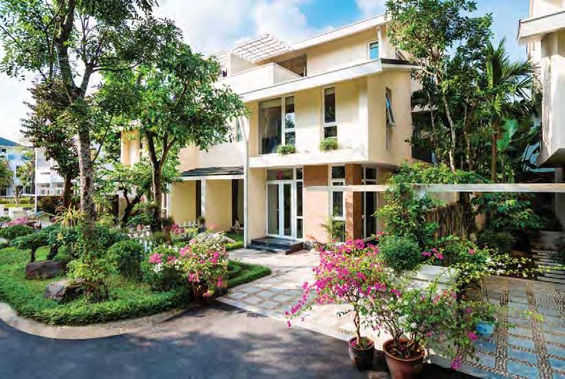 Biệt thự vườn Tùng Ecopark