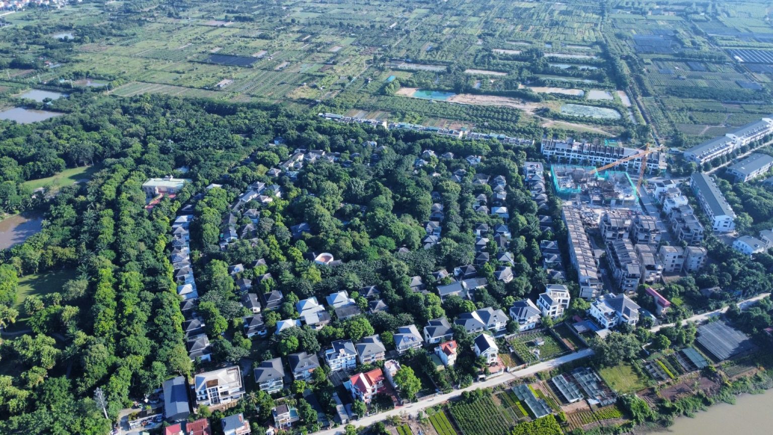 Tong-the-biet-thu-Vuon-Mai-Ecopark