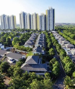 Chung cư Rừng Cọ Ecopark