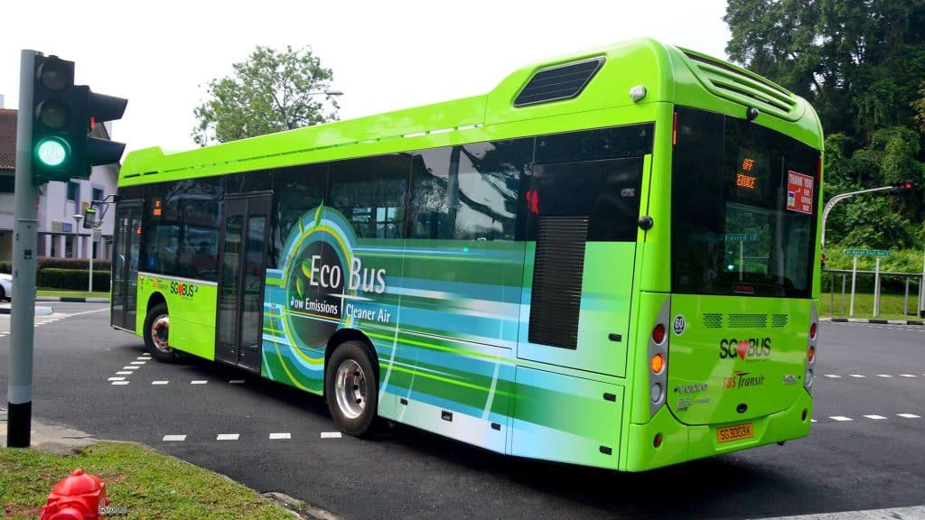 Ecobus - Ecopark